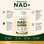 NAD+ Quercetin & Resveratrol Supplement – NMN Supplement Alternative – Third-Party Tested – Advanced NAD Supplement for Women & Men – 30-Day Supply