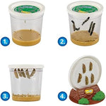 Insect Lore Butterfly Garden Kit with Live Caterpillars – Grow 10 Painted Lady Butterflies - STEM Learning Activity, Habitat with Journal, Stickers, Seeds & Figurines - As Seen on TV