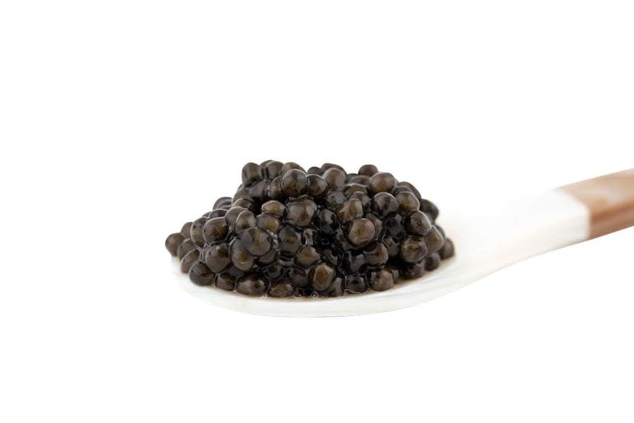 𝐁𝐄𝐒𝐓𝐒𝐄𝐋𝐋𝐄𝐑 Premium Siberian Sturgeon Royal Black Caviar - 1.1 oz - (30g) - Classical Sturgeon Malossol Sturgeon Black Roe - [JANUARY 2026]