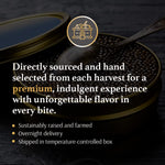 OLMA Classic Caviar Black Caviar Gift Box - Includes 2 oz of Siberian Osetra Aurora, White Sturgeon, Paddlefish, Hackleback Sturgeon Fish Roe & Mother of Pearl Serving Spoon - Overnight Delivery