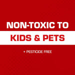 Tomcat Glue Traps Mouse Size with Eugenol for Enhanced Stickiness for Mice, Cockroaches, and Spiders, 6 Traps