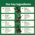 Gruns Adults Super Greens Gummies, Multivitamin Superfood Gummy Bears, Spirulina, Chlorella, Prebiotics & Fiber Gummies for Digestive Health, Adaptogens Supplement, 20 Vitamins & Minerals, 10 Count