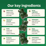 Gruns Adults Super Greens Gummies, Multivitamin Superfood Gummy Bears, Spirulina, Chlorella, Prebiotics & Fiber Gummies for Digestive Health, Adaptogens Supplement, 20 Vitamins & Minerals, 10 Count