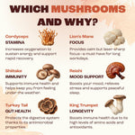RYZE SUPERFOODS Mushroom Medium Roast Coffee USDA Organic with 6 Adaptogenic Mushrooms, USA Grown Instant Coffee for Better Energy, Focus Digestion Immunity with Lions Mane & Turkey Tail 30 Servings