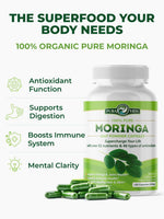 PURA VIDA MORINGA Organic Moringa Capsules, Pure Moringa Leaf Powder Single Origin for Energy, Metabolism & Immune Support, 120ct, 500mg Caps