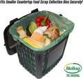 2.6 Gallon Compostable Food Scrap Bags by BioBag, 100 Count, BPI Certified, Meets ASTM D6400 Standards, Made in USA, Kitchen Counter Bin Liners