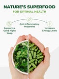 PURA VIDA MORINGA Organic Moringa Capsules, Pure Moringa Leaf Powder Single Origin for Energy, Metabolism & Immune Support, 120ct, 500mg Caps