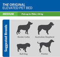 Coolaroo Original Elevated Dog Bed - Breathable Off-The-Ground Pet Bed with Cooling Fabric, Joint Relief & Moisture-Resistant Fabric, 100% Recyclable, Easy Clean, Grey, Medium