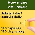 Nature Made Turmeric Curcumin 500 mg, Turmeric Curcumin Supplement for Antioxidant Support, Herbal Supplements, 120 Capsules, 120 Day Supply