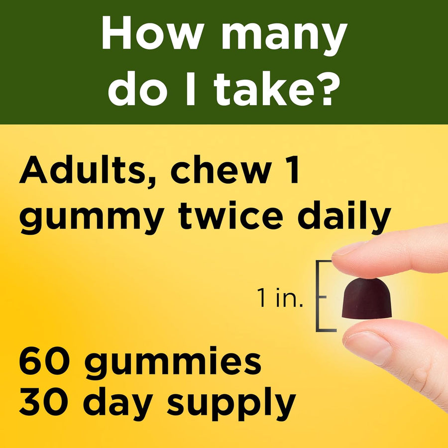 Nature Made Ashwagandha Gummies, Vegan, KSM 66 Ashwagandha Supplement for Stress Support, 60 Count