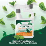 Vet's Best Natural Flea and Tick Yard and Dog Kennel Spray, Plant Safe Tick Spray for Yard with Ready-to-Use Hose Attachment, Mosquito Repellent with Natural Oils, Flea Prevention for Dogs, 32 oz