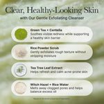 ARENCIA Korean Rice Mochi Face Cleanser - Face Wash, Gentle Scrub All in One for Deep Cleansing, Moisturizing, Pore Minimizing, Acne-Prone Skin, Removing Blackhead with Rice Water & Green Tea