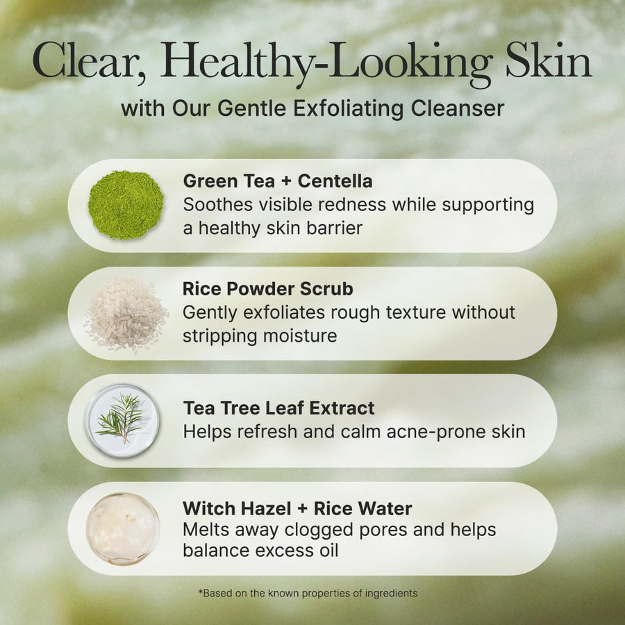 ARENCIA Korean Rice Mochi Face Cleanser - Face Wash, Gentle Scrub All in One for Deep Cleansing, Moisturizing, Pore Minimizing, Acne-Prone Skin, Removing Blackhead with Rice Water & Green Tea