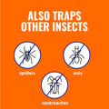 Terro T230 Indoor Electric Flea Trap and Killer - Refillable Flea Traps for Inside Your Home
