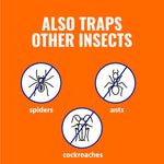 Terro T230 Indoor Electric Flea Trap and Killer - Refillable Flea Traps for Inside Your Home