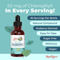 MaryRuth's Chlorophyll Liquid Drops | Clean Label Project Certified® | Vegan | Non-Diluted Liquid Chlorophyll| Mulberry Derived Supplement for Ages 14+ | Non-GMO | Delicious Minty Flavor | 2 Fl Oz
