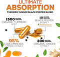 Turmeric Curcumin Supplement - 95% Curcuminoids with Organic Turmeric & Ginger, BioPerine Black Pepper Extract for Best Absorption, Natural Vegan Joint Support, Non-GMO, Bottled in USA - 240 Capsules
