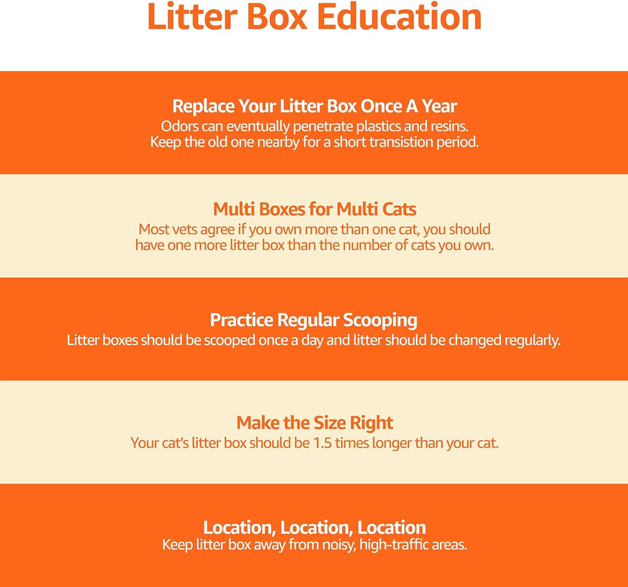 Basics Large Cat Litter Box with High Sides, Open Top, Includes Scoop, 19 x 15 x 11.75 inches, Grey/Beige