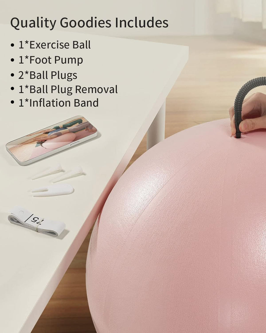 YOTTOY Anti-Burst Exercise Ball, 2000lb Capacity, Thick Workout Ball