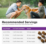 Nutri-Vet Pre & Probiotics for Dogs, Digestive Support, Upset Stomach, Puppy Probiotic, Pet Vitamins and Supplements, Dog Probiotics, Liver & Cheese Flavor, 120 Soft Chews