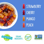 YumEarth Organic Gummy Bears - Fruity Gummy Candy Snack Packs, Gluten Free Snacks for Kids - Allergy Friendly, Non-GMO, No Artificial Dyes - Assorted Flavors, 10.5 oz. (Pack of 15)