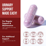 CranEaze®: Cranberry Juice Extract Plus D-Mannose – 36 mg PAC, 100% Soluble PAC - Supports Urinary Tract Health – Most Effective Cranberry Pills for Women, UTI Cranberry Supplement - 60 Capsules
