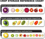 Avocado Saver and Tomato Holder - Set of 4 Reusable Storage Containers for Fridge - Ideal for Garlic, Onions, Lemons, and Potatoes