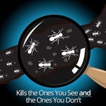 Combat Indoor and Outdoor Ant Killing Gel, 27 Gram