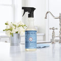 MRS. MEYER'S CLEAN DAY Multi-Surfaace Everyday Cleaner, Rain Water Scent, 16 Ounce Bottle