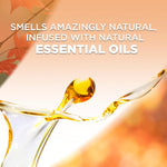 Air Wick Plug in Scented Oil Refill, 7ct, Pumpkin + Brown Sugar Mixed Pack, Fall Scent, Essential Oils, Air Freshener