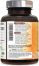 Turmeric Curcumin Supplement - 95% Curcuminoids with Organic Turmeric & Ginger, BioPerine Black Pepper Extract for Best Absorption, Natural Vegan Joint Support, Non-GMO, Bottled in USA - 240 Capsules