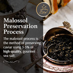 OLMA Classic Caviar Black Caviar Gift Box - Includes 2 oz of Siberian Osetra Aurora, White Sturgeon, Paddlefish, Hackleback Sturgeon Fish Roe & Mother of Pearl Serving Spoon - Overnight Delivery