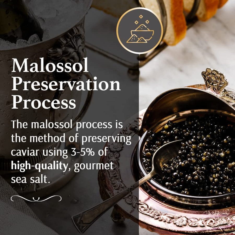 OLMA Classic Caviar Black Caviar Gift Box - Includes 2 oz of Siberian Osetra Aurora, White Sturgeon, Paddlefish, Hackleback Sturgeon Fish Roe & Mother of Pearl Serving Spoon - Overnight Delivery