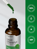 Horbäach Liquid Chlorophyll Drops | 2 fl oz | Natural Peppermint Flavor | Vegan, Non-GMO & Gluten Free Formula