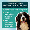 Nutiva Organic, Cold-Pressed, Unrefined, Virgin Coconut Oil from Fresh, non-GMO, Sustainably Farmed Coconuts, 15-ounce