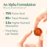 ROOT LABS 10-in-1 Alpha Shilajit Gummies | 4000 mg Pure Himalayan Shilajit with Tongkat Ali & Maca Root | Shilajit for Men & Women | ShilAbsorb Bioavailability Tech | Sugar-Free, Vegan | 60 Gummies