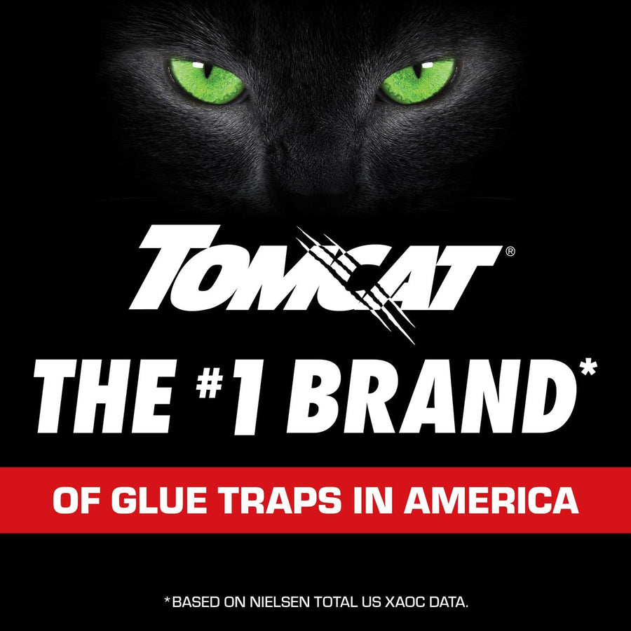 Tomcat Glue Traps Mouse Size with Eugenol for Enhanced Stickiness for Mice, Cockroaches, and Spiders, 6 Traps