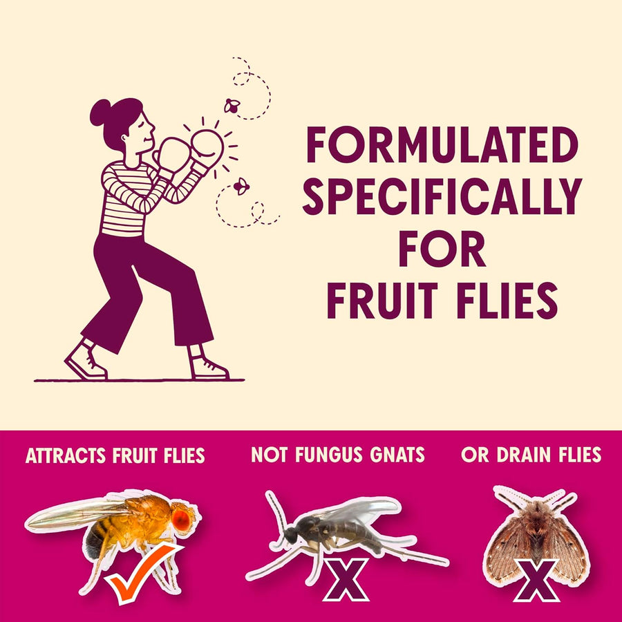 Aunt Fannie's FlyPunch Fruit Fly Trap for Indoor and Kitchen Use, Ready to Use, Made with Plant Based Ingredients, Safe Near Food, Each Bottle Lasts Up to 30 Days, Pack of 2