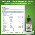 Benevolent Nourishment Chlorophyll Supplement, Detox & Immune Support, Internal Deodorizer, Liquid Drops