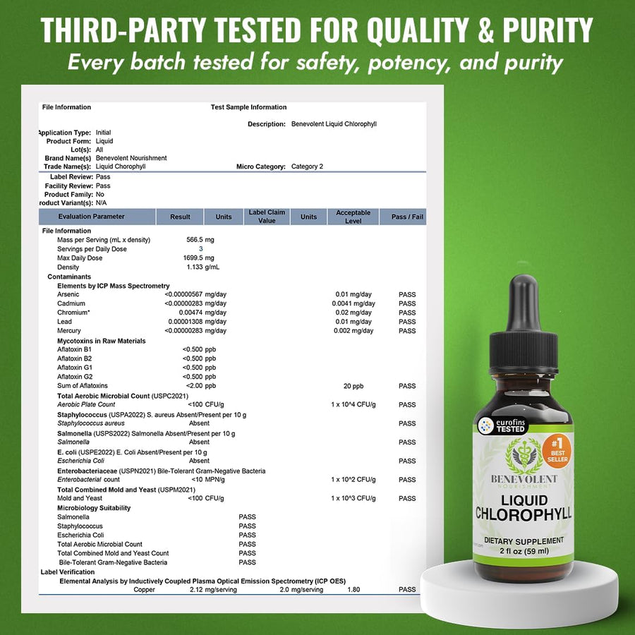 Benevolent Nourishment Chlorophyll Supplement, Detox & Immune Support, Internal Deodorizer, Liquid Drops