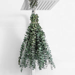 10 Pcs Dried Eucalyptus Stems 17" Real Eucalyptus for Shower Hanging 100% Made from Fresh Leaves, Wedding, Home, Farmhouse, DIY Spring Decor Bathroom Decor Home Decor