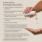 Stonehenge Health Dynamic Brain Bacopa Nootropic Formula with Phosphatidylserine and DHA