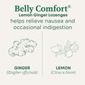 Traditional Medicinals Organic Belly Comfort Lozenges Lemon Ginger