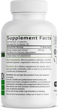 Bronson Ginkgo Biloba Extra Strength Supports Brain Function & Memory Support, 120 Vegetarian Capsules