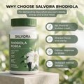 Rhodiola Rosea Supplement – Golden Root Adaptogen Capsules - Rhodiola Rosea Extract Powder Alternative with Salidroside for Stress Support - Energy, Focus & Performance