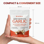 Resilia Garlic Extract 600mg Softgels (60 Count) – Odorless Aged Garlic Extract Supplement with CoQ10 Ubiquinol – 20-Month Matured, Standardized for S-Allyl Cysteine - Heart Health & Immune Support