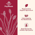 ORGANIC INDIA Psyllium Herbal Powder - Whole Husk Fiber, Vegan, Gluten-Free, USDA Certified Organic, Non-GMO, Soluble & Insoluble Fiber Source - 12 Oz Canister (Pack of 1)