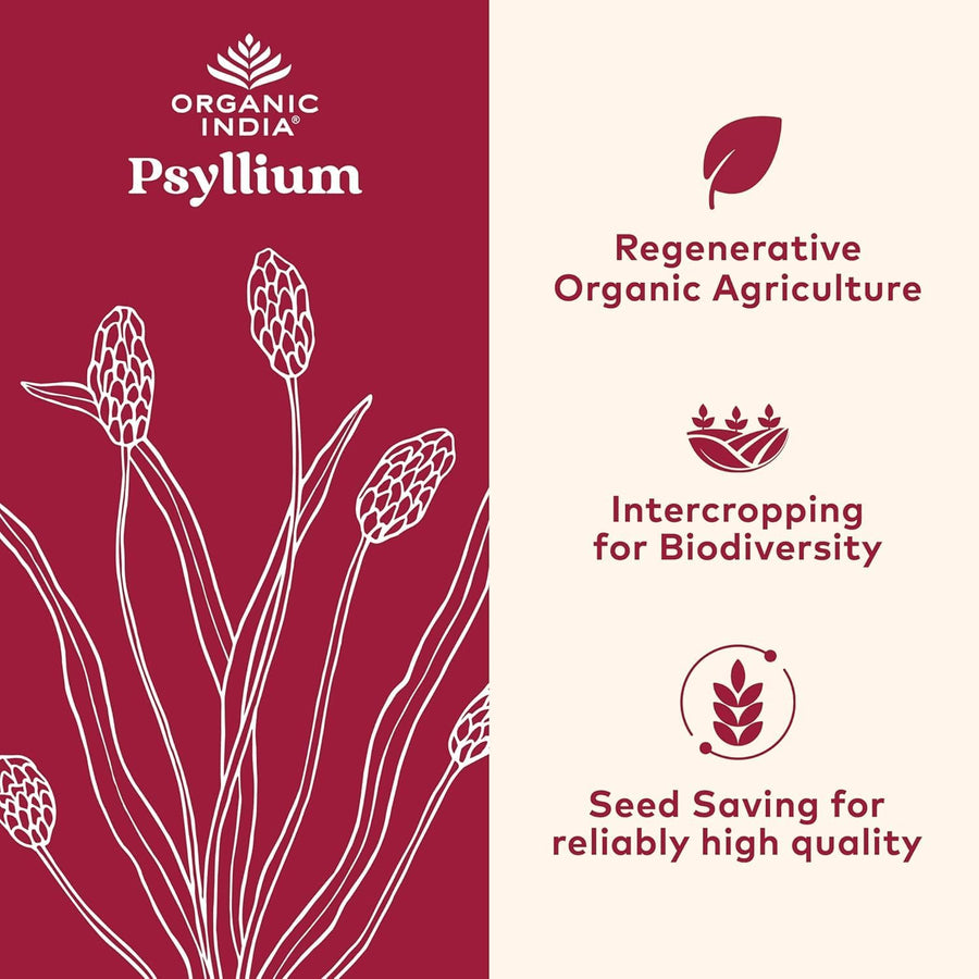 ORGANIC INDIA Psyllium Herbal Powder - Whole Husk Fiber, Vegan, Gluten-Free, USDA Certified Organic, Non-GMO, Soluble & Insoluble Fiber Source - 12 Oz Canister (Pack of 1)