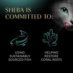 Sheba Perfect Portions Kitten Wet Cat Food Pate Chicken Entree and Salmon Entree, 2.6 oz. Twin-Pack Trays (12 Count, 24 Servings) (Pack of 2)