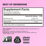 HUM Berberine Supplement 1200mg for Metabolic Wellness and Gut Health